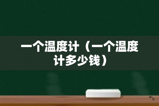一个温度计（一个温度计多少钱）