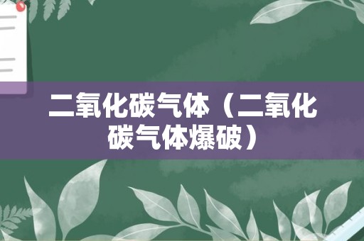 二氧化碳气体（二氧化碳气体爆破）