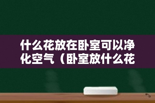 什么花放在卧室可以净化空气（卧室放什么花能净化空气）