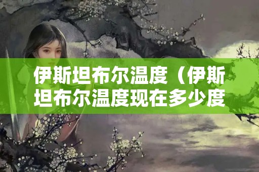 伊斯坦布尔温度（伊斯坦布尔温度现在多少度）