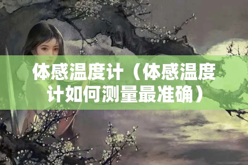 体感温度计（体感温度计如何测量最准确）