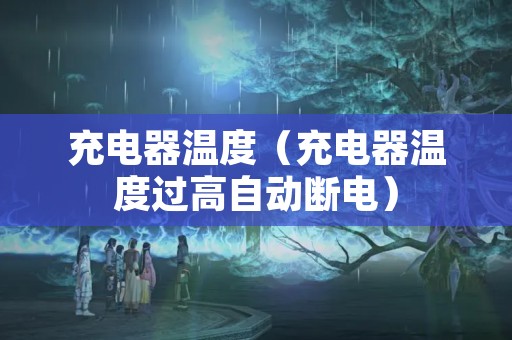 充电器温度（充电器温度过高自动断电）