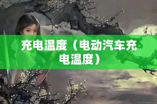 充电温度（电动汽车充电温度）