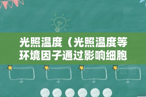 光照温度（光照温度等环境因子通过影响细胞代谢）