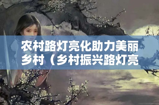 农村路灯亮化助力美丽乡村（乡村振兴路灯亮化）