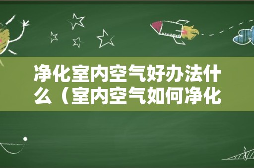 净化室内空气好办法什么（室内空气如何净化）