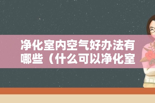 净化室内空气好办法有哪些（什么可以净化室内空气）