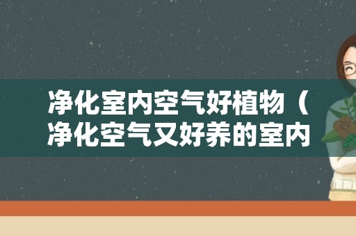 净化室内空气好植物（净化空气又好养的室内植物）