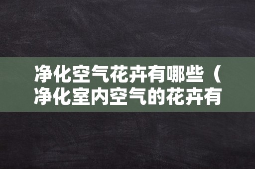 净化空气花卉有哪些（净化室内空气的花卉有哪些）