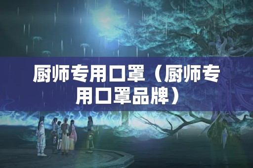 厨师专用口罩（厨师专用口罩品牌）