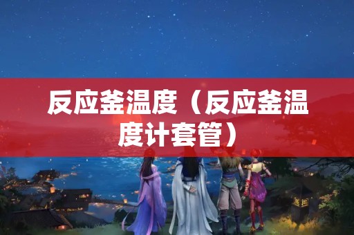 反应釜温度（反应釜温度计套管）