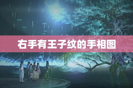 右手有王子纹的手相图