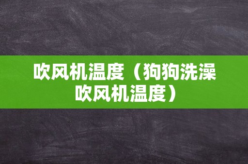 吹风机温度（狗狗洗澡吹风机温度）