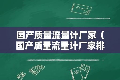 国产质量流量计厂家（国产质量流量计厂家排行榜）