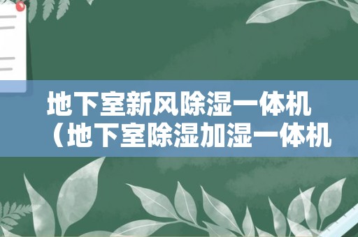 地下室新风除湿一体机（地下室除湿加湿一体机）
