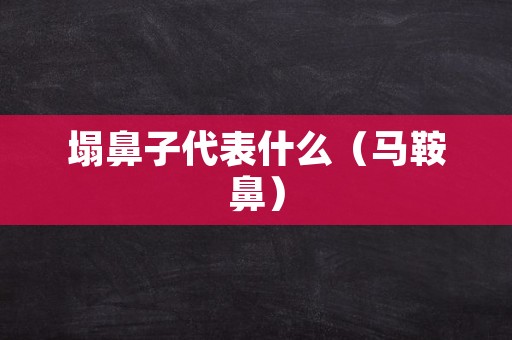 塌鼻子代表什么（马鞍鼻）