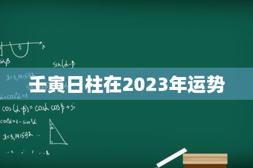 壬寅日柱在2023年运势