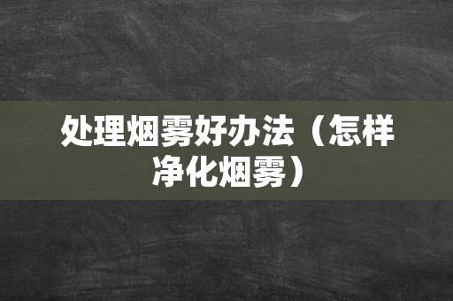 处理烟雾好办法（怎样净化烟雾）