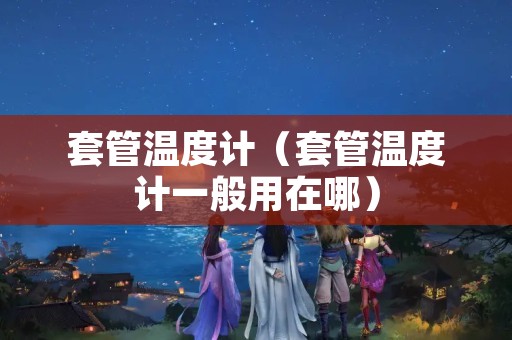 套管温度计（套管温度计一般用在哪）