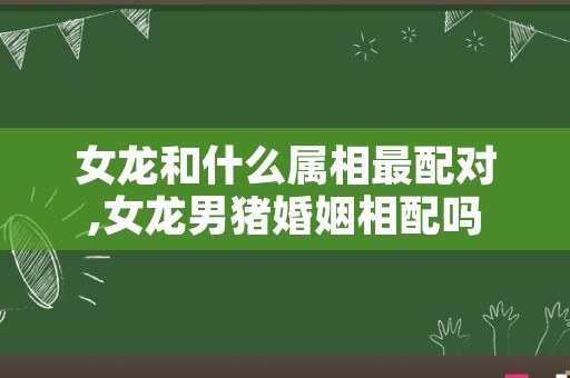 女龙和什么属相最配对,女龙男猪婚姻相配吗