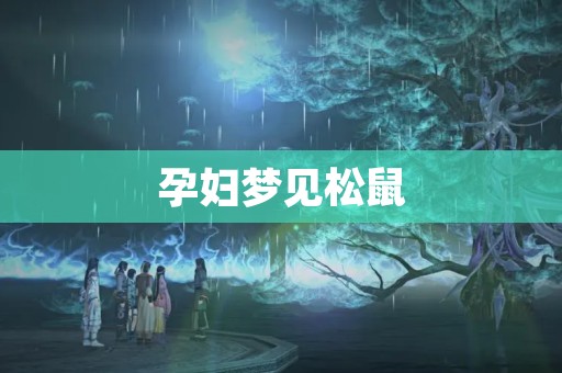 孕妇梦见松鼠