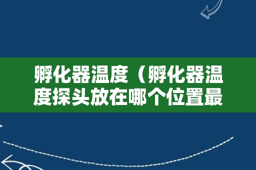 孵化器温度（孵化器温度探头放在哪个位置最合适）
