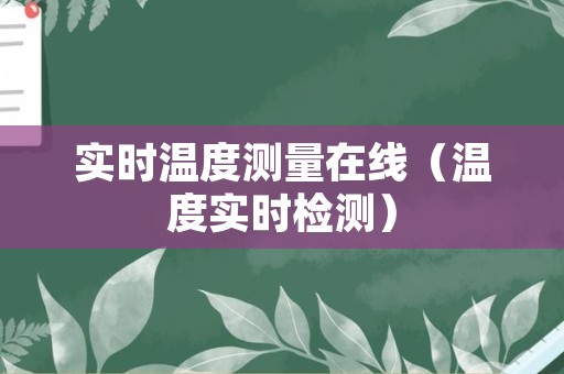 实时温度测量在线（温度实时检测）