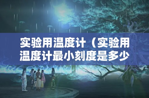实验用温度计（实验用温度计最小刻度是多少）