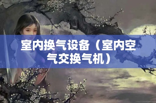 室内换气设备（室内空气交换气机）