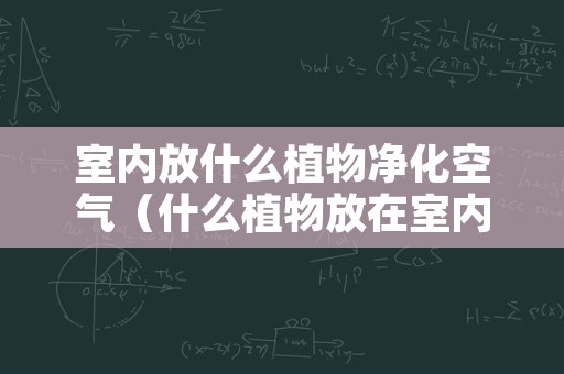 室内放什么植物净化空气（什么植物放在室内净化空气最好）