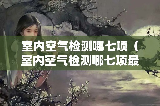 室内空气检测哪七项（室内空气检测哪七项最重要）