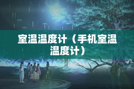 室温温度计（手机室温温度计）