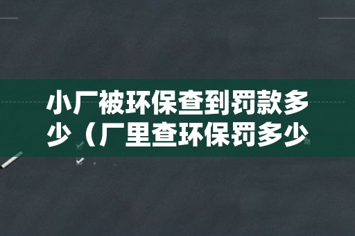 小厂被环保查到罚款多少（厂里查环保罚多少）