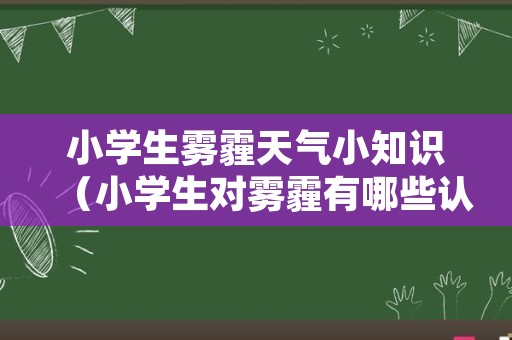 小学生雾霾天气小知识（小学生对雾霾有哪些认识）