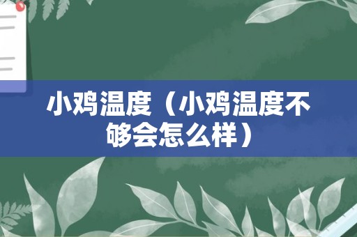 小鸡温度（小鸡温度不够会怎么样）