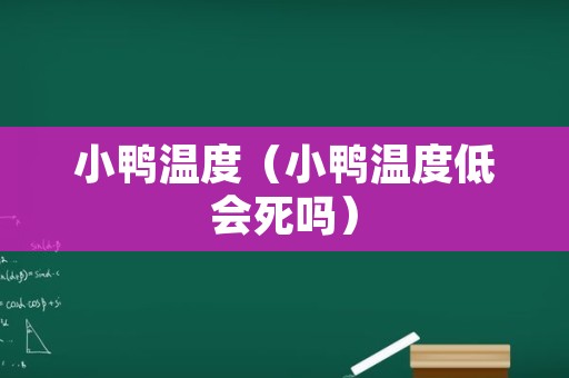 小鸭温度（小鸭温度低会死吗）