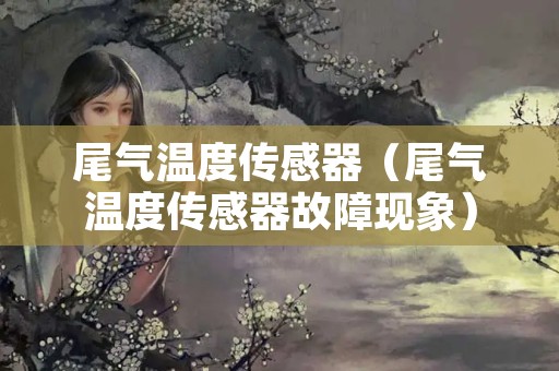 尾气温度传感器（尾气温度传感器故障现象）