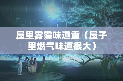 屋里雾霾味道重（屋子里燃气味道很大）