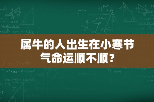 属牛的人出生在小寒节气命运顺不顺？