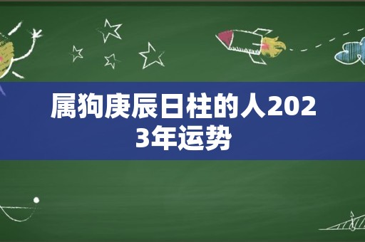 属狗庚辰日柱的人2023年运势
