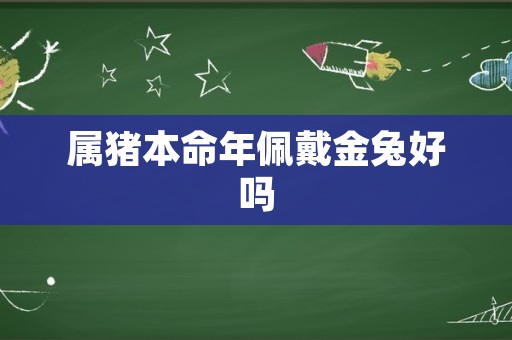 属猪本命年佩戴金兔好吗