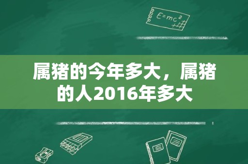 属猪的今年多大，属猪的人2016年多大
