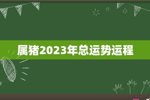 属猪2023年总运势运程