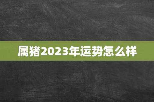 属猪2023年运势怎么样