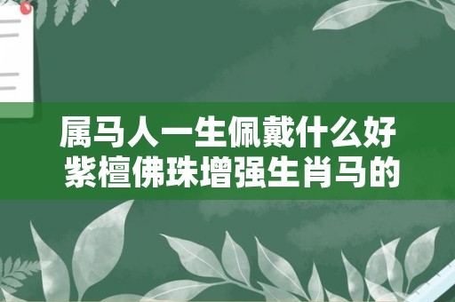 属马人一生佩戴什么好 紫檀佛珠增强生肖马的运势