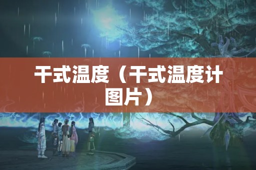 干式温度（干式温度计图片）