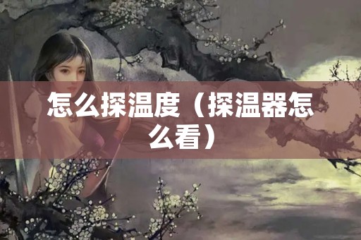 怎么探温度（探温器怎么看）