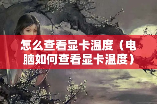 怎么查看显卡温度（电脑如何查看显卡温度）
