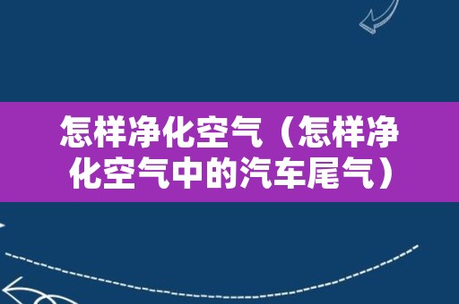 怎样净化空气（怎样净化空气中的汽车尾气）