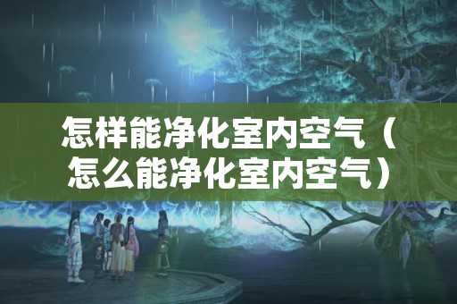 怎样能净化室内空气（怎么能净化室内空气）
